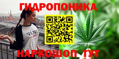 метадон Тула