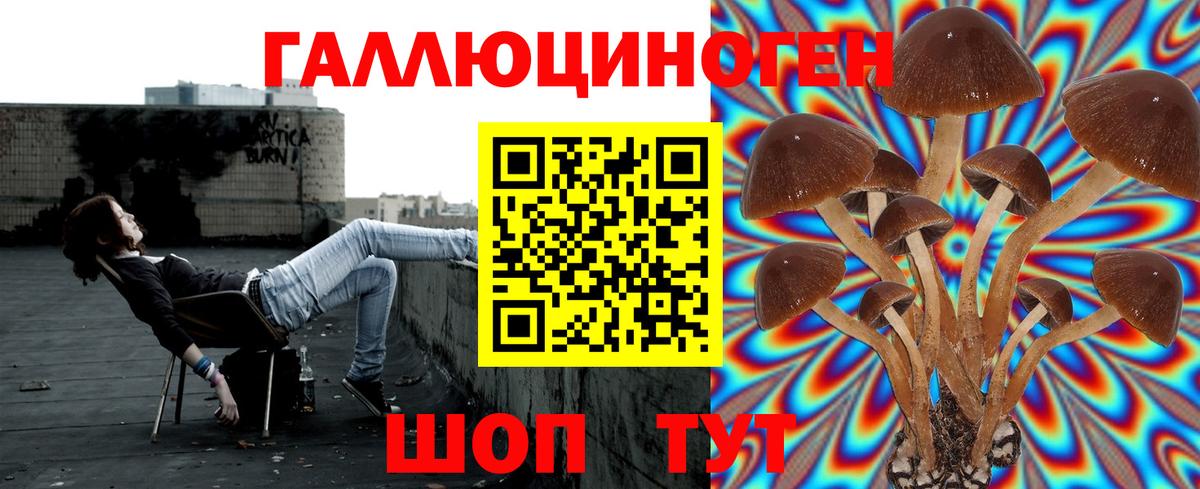 Псилоцибиновые грибы мицелий  Псилоцибиновые грибы Psilocybine cubensis  Нарткала  Вход с VPN 